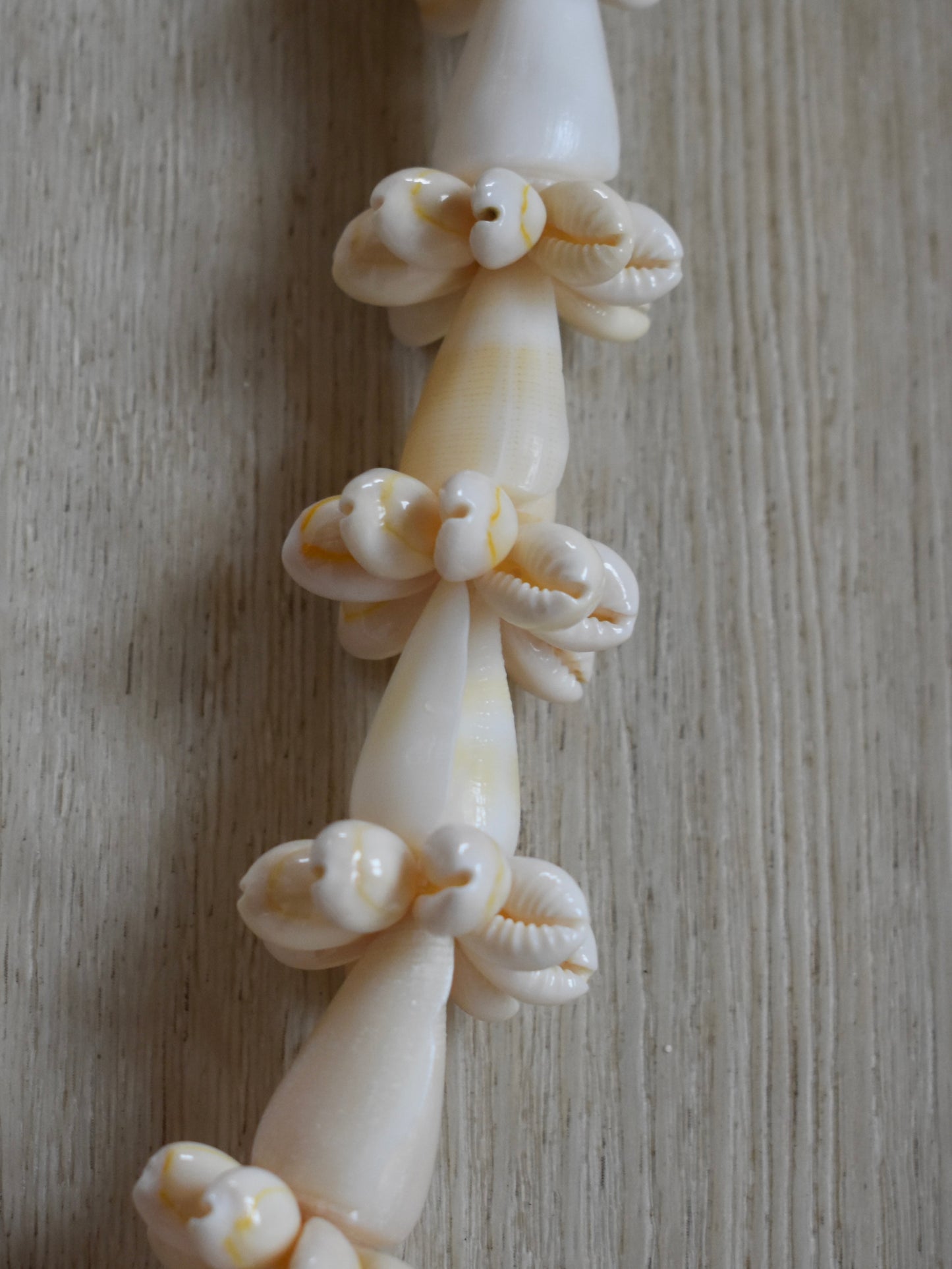 Cream Cone Shell + Cowrie Shell Lei