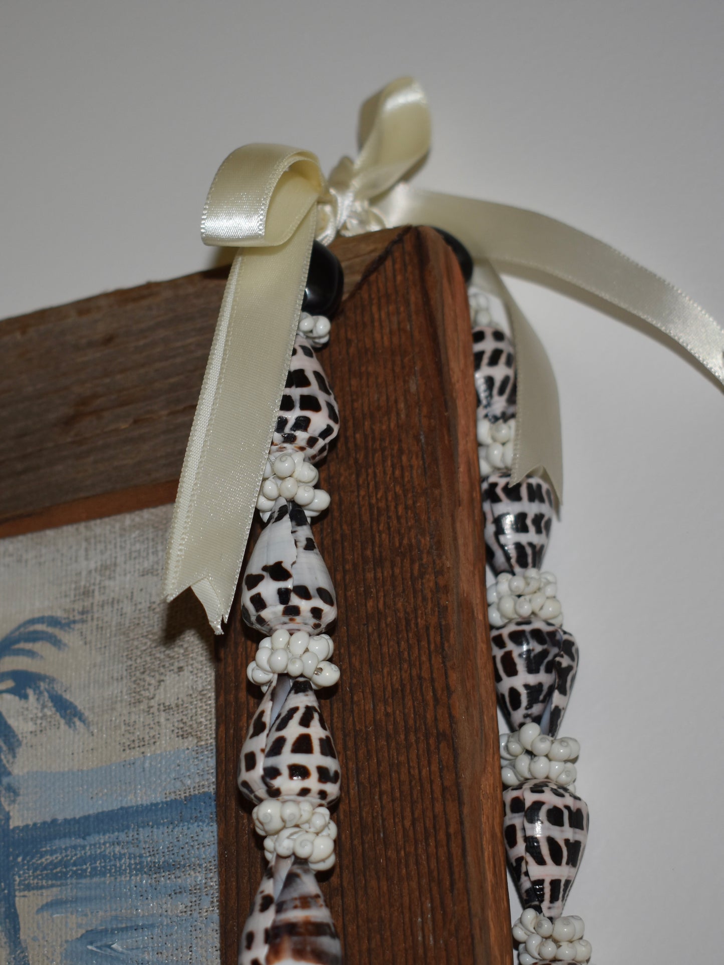 Hebrew Cone Shell + Cowrie Shell Lei