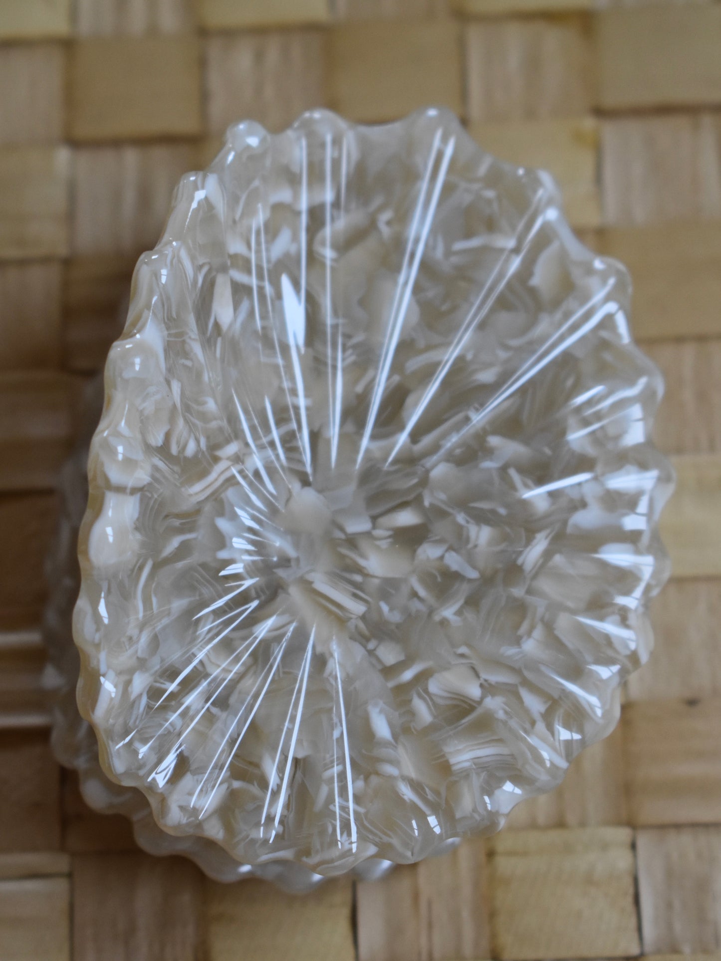 'Opihi Shell Shaped Claw Clip