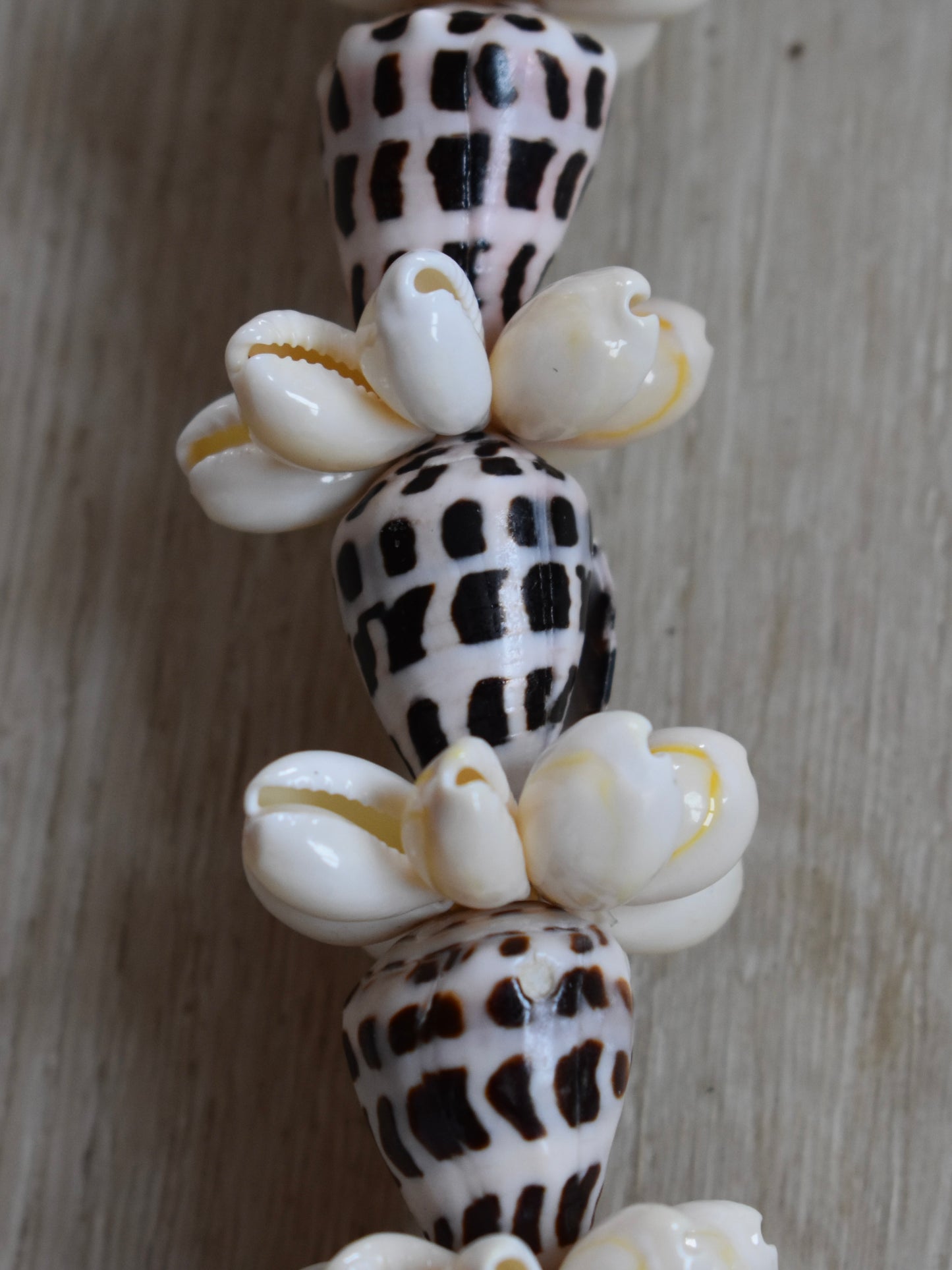Hebrew Cone Shell + Cowrie Shell Lei
