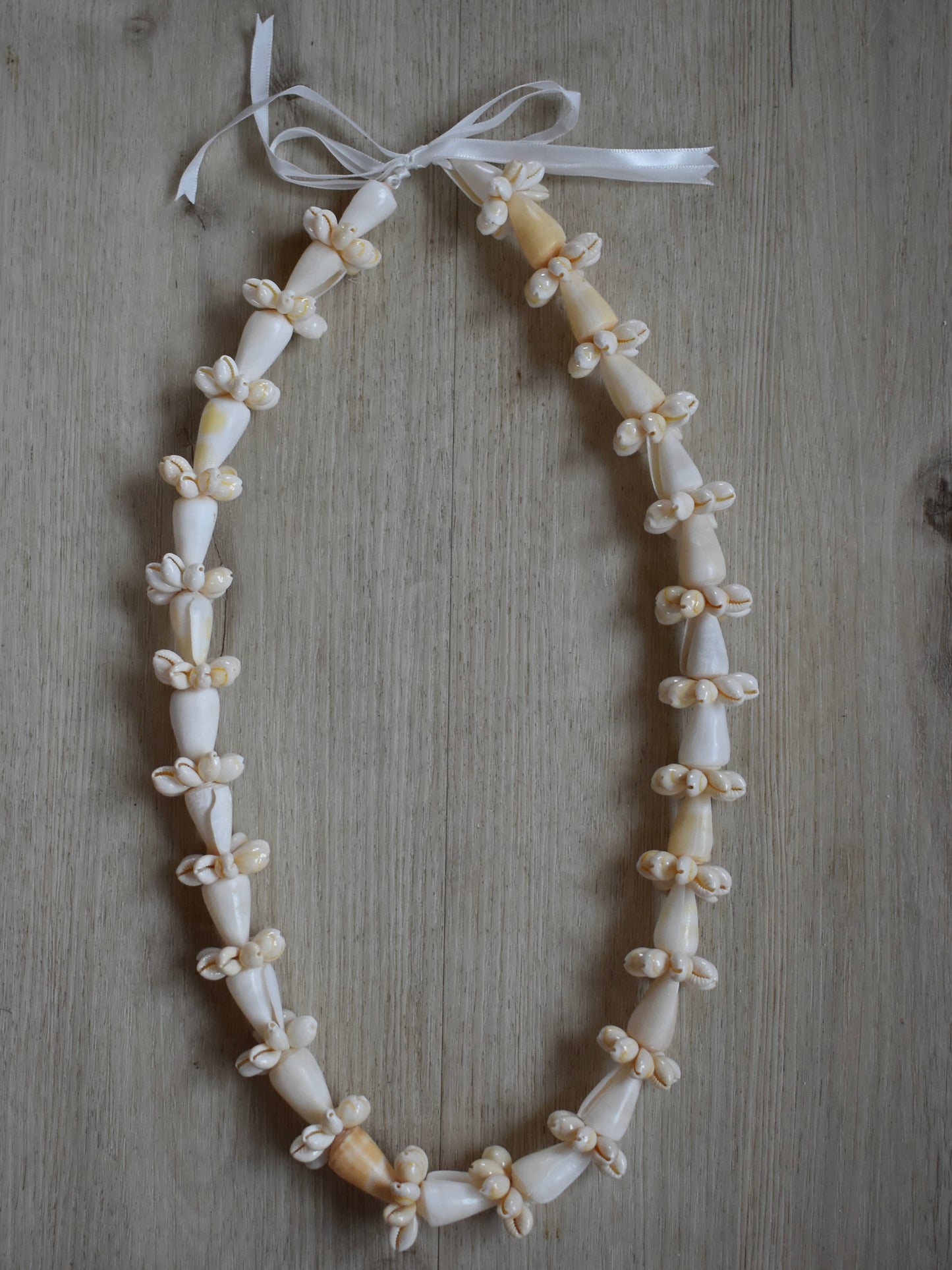 Cream Cone Shell + Cowrie Shell Lei
