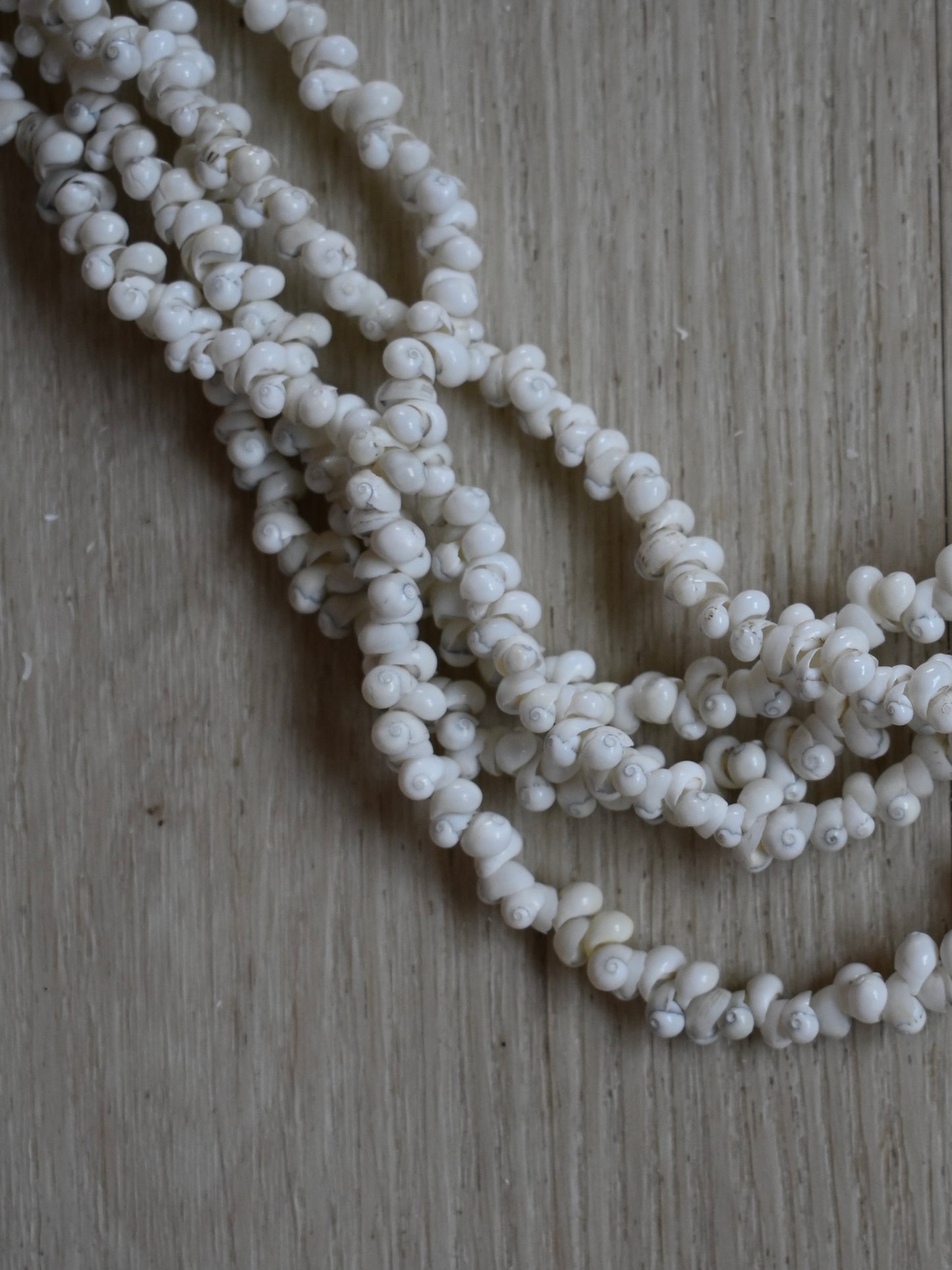 Single Hebrew Shell Five Strand Lei