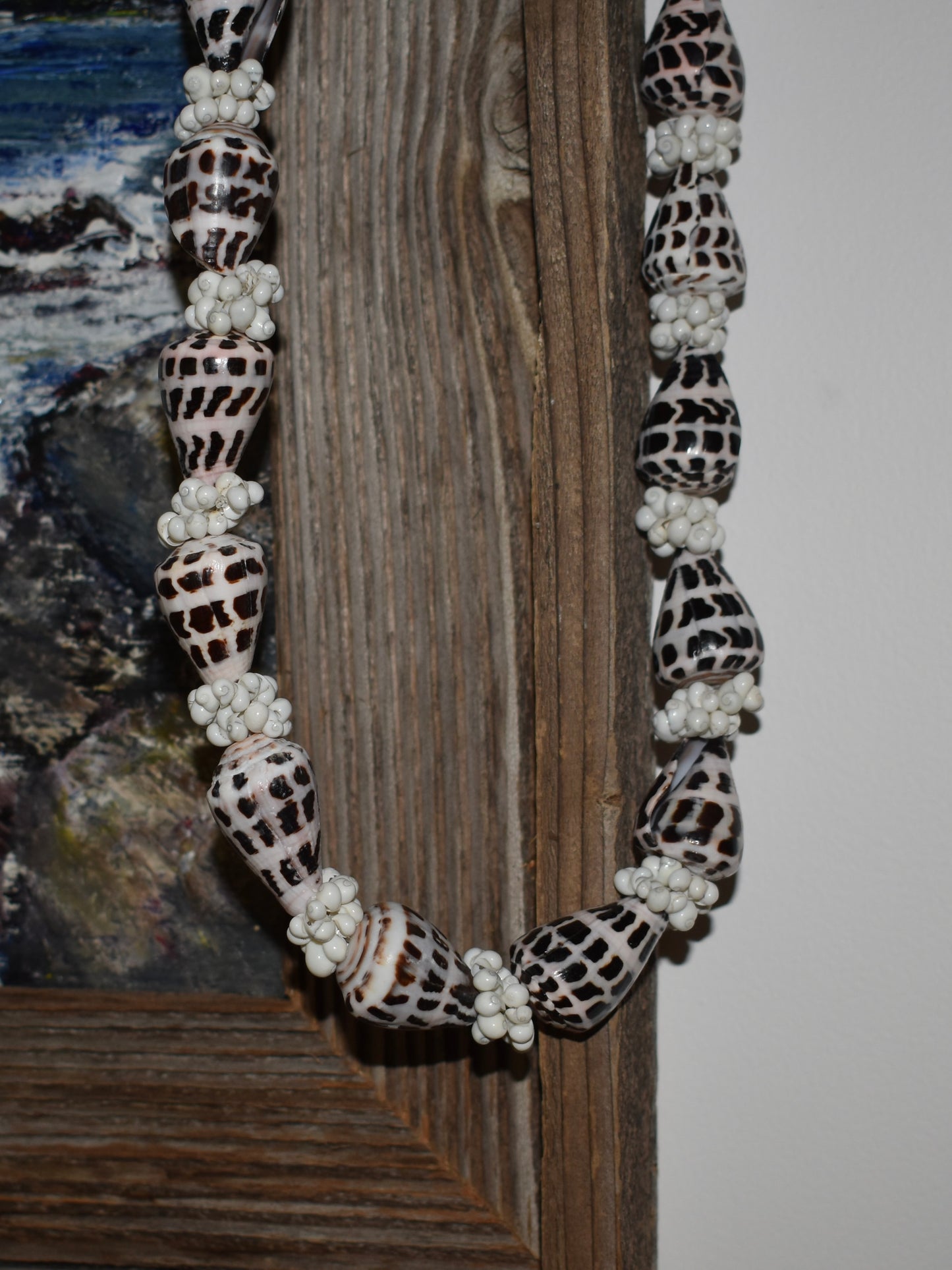 Hebrew Cone Shell Lei