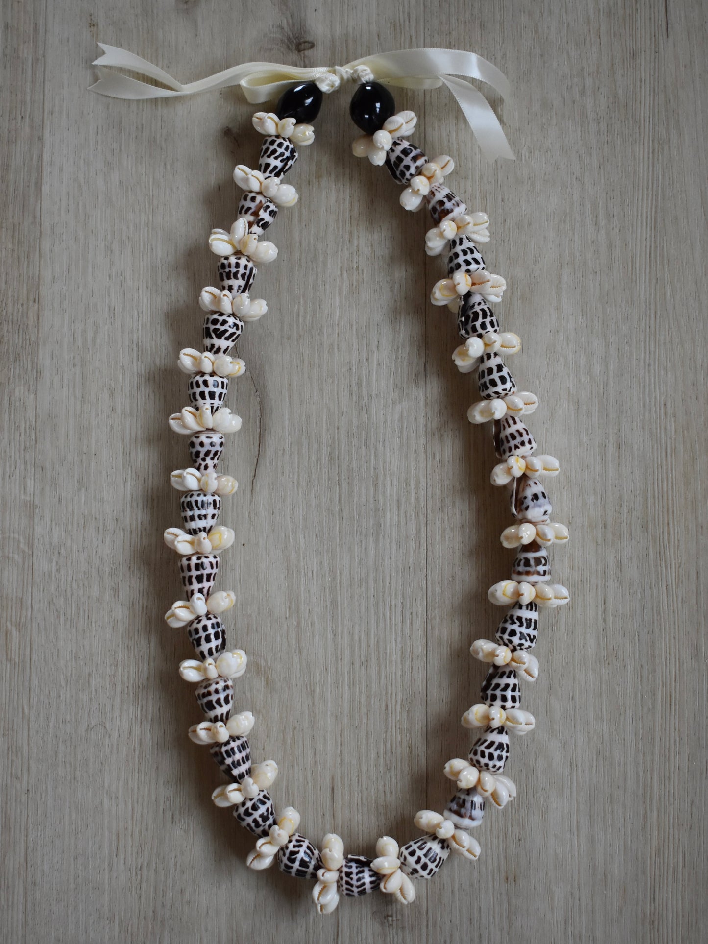Hebrew Cone Shell + Cowrie Shell Lei