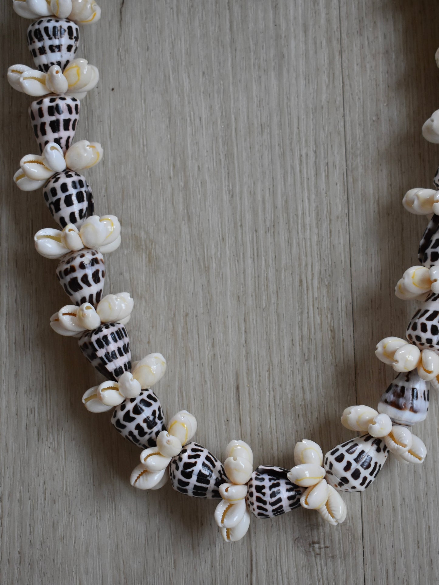 Hebrew Cone Shell + Cowrie Shell Lei