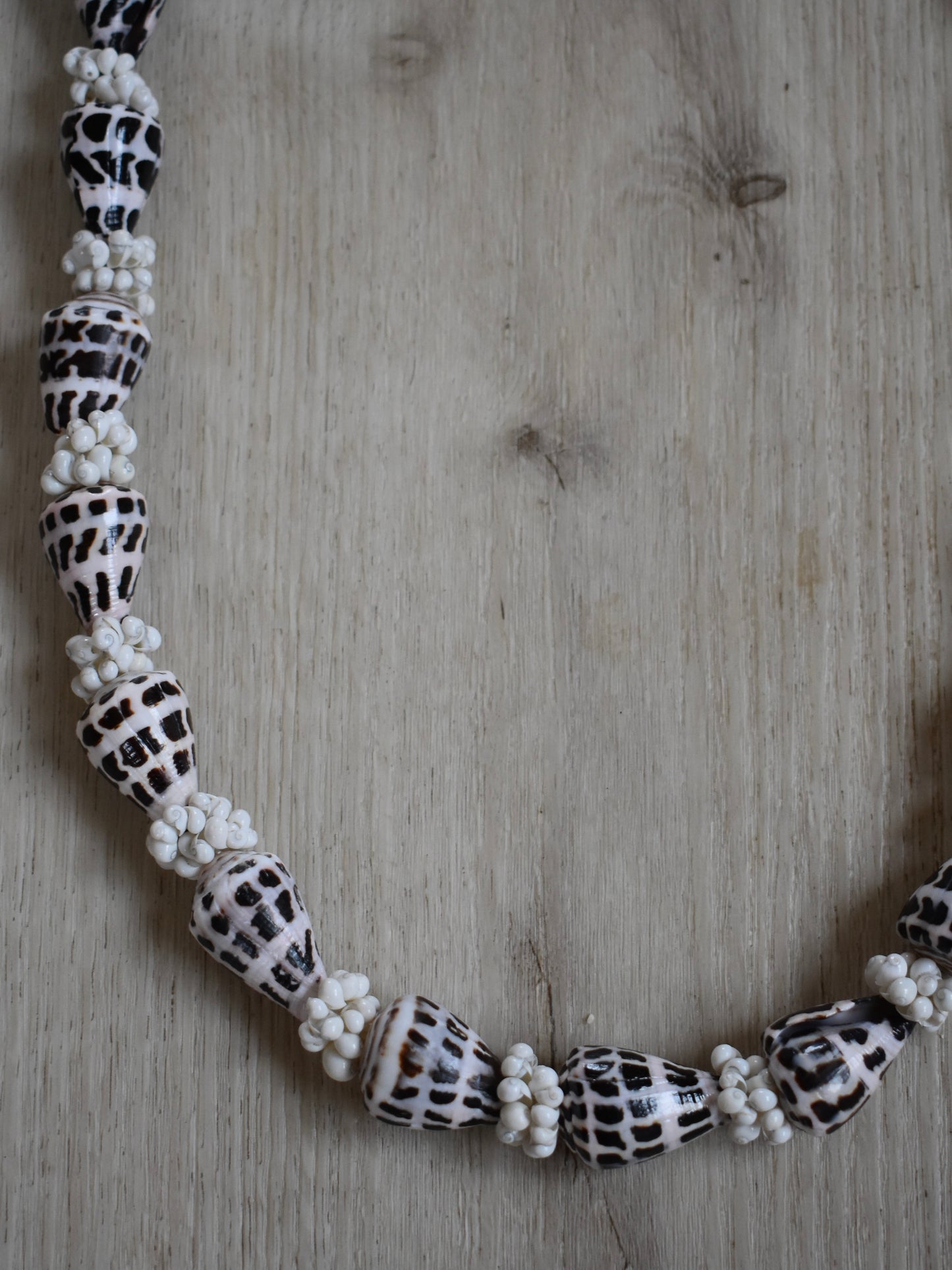 Hebrew Cone Shell Lei