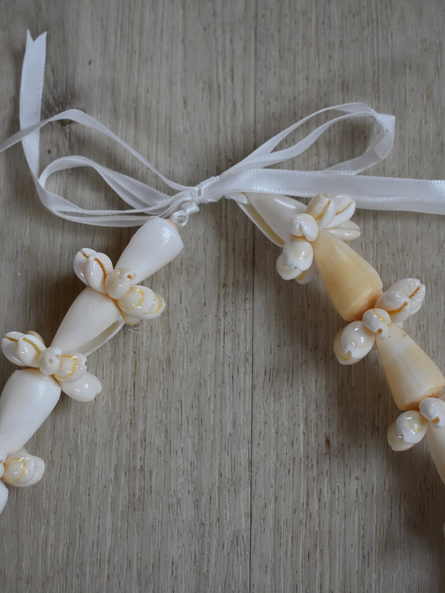 Cream Cone Shell + Cowrie Shell Lei