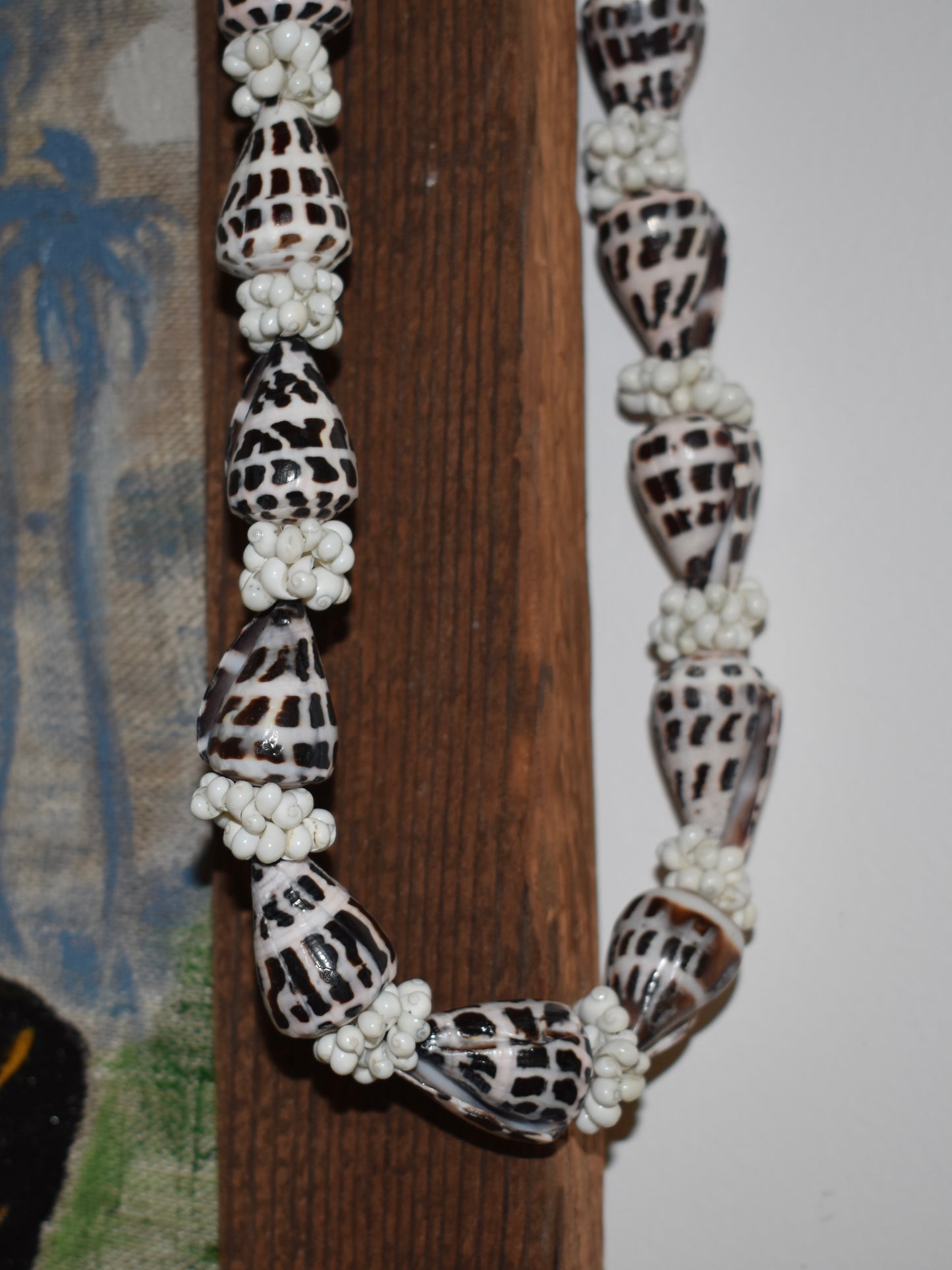 Hebrew Cone Shell + Cowrie Shell Lei