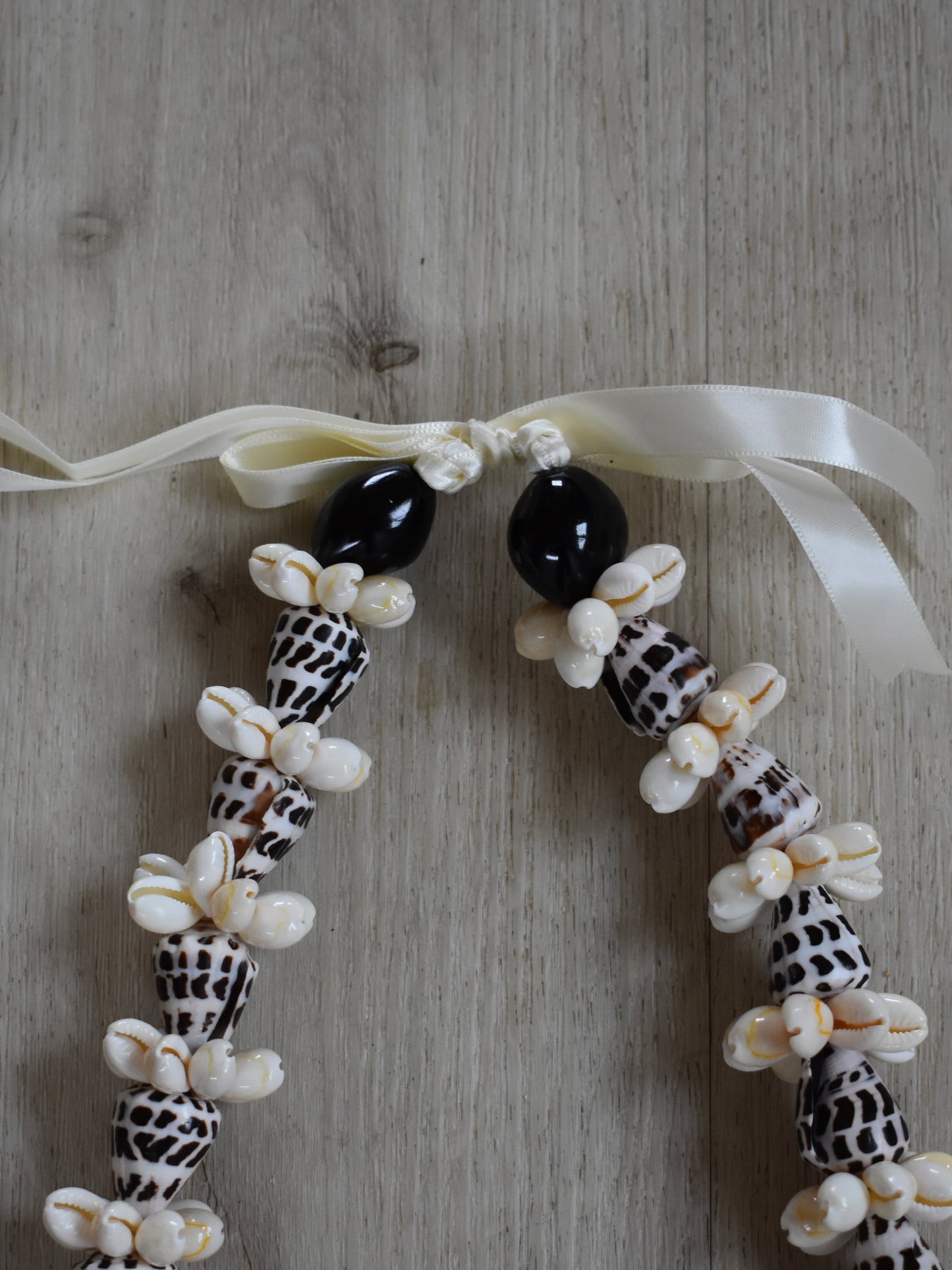 Hebrew Cone Shell + Cowrie Shell Lei