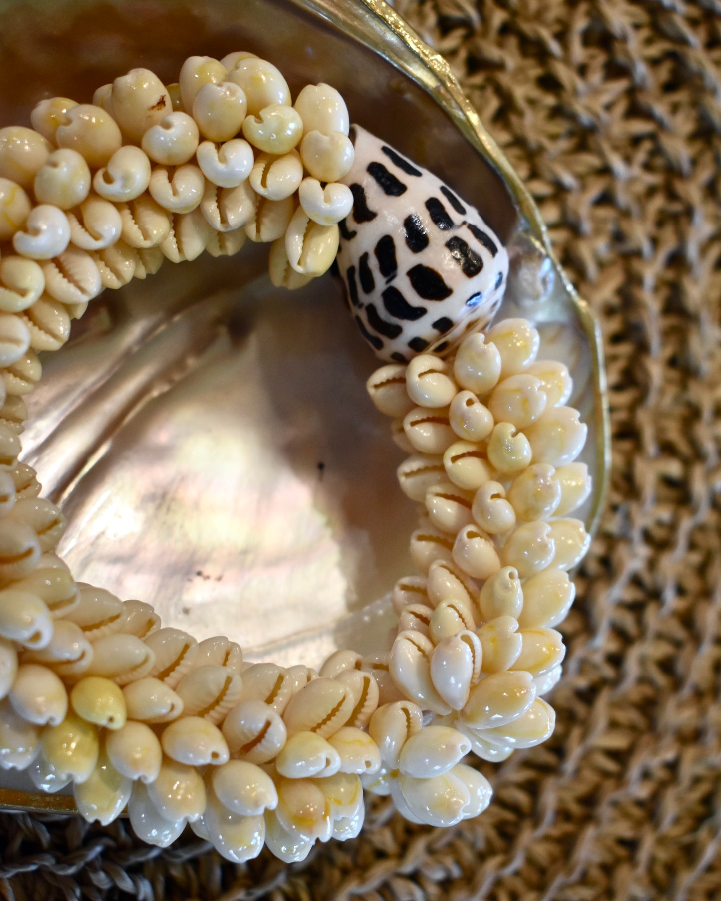 Hebrew Cone + Cowrie Shell Bracelet