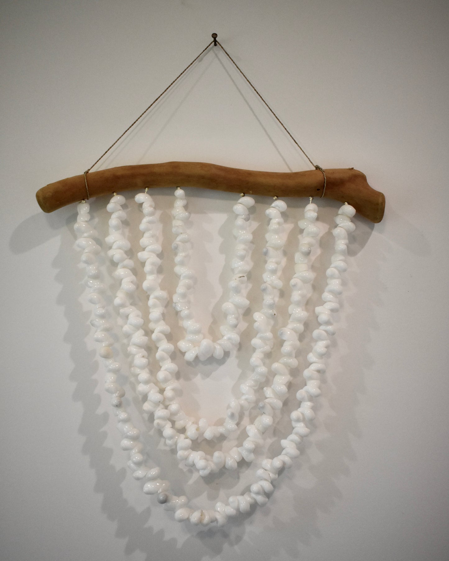 Layered Bubble Shell Driftwood Wall Decor