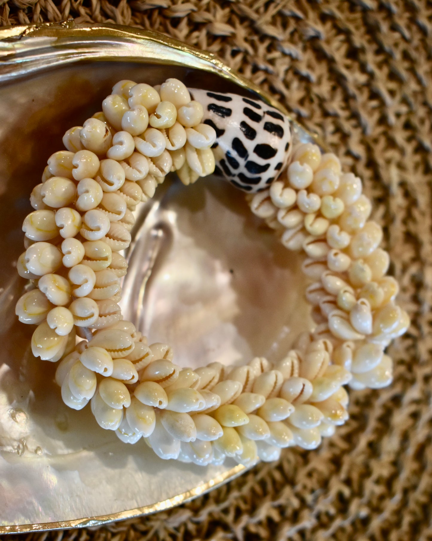 Hebrew Cone + Cowrie Shell Bracelet