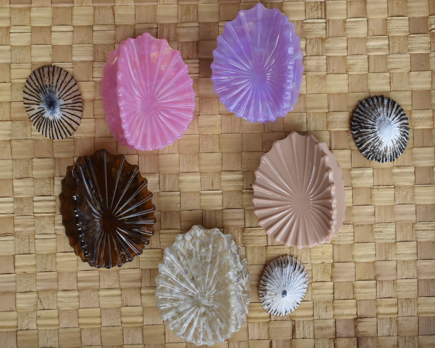 'Opihi Shell Shaped Claw Clip