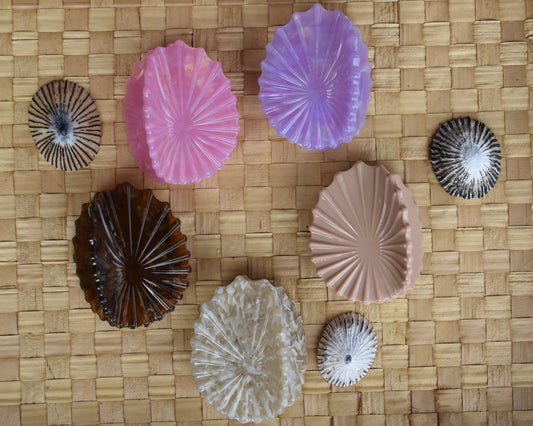 'Opihi Shell Shaped Claw Clip