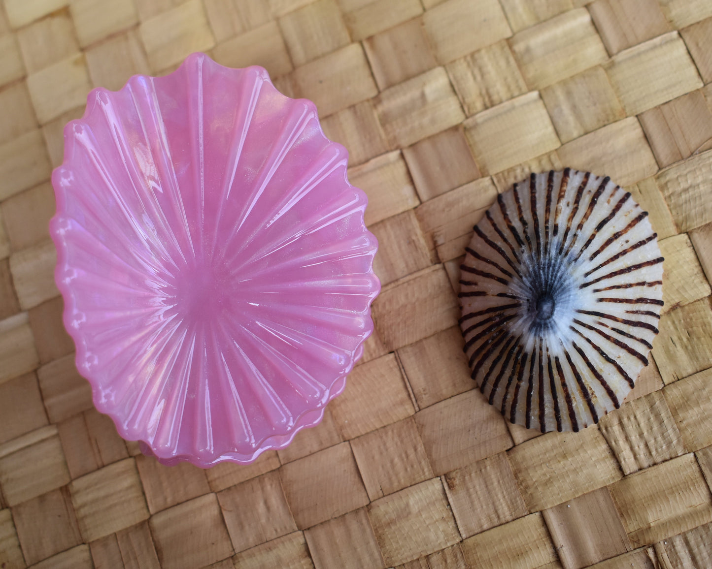 'Opihi Shell Shaped Claw Clip