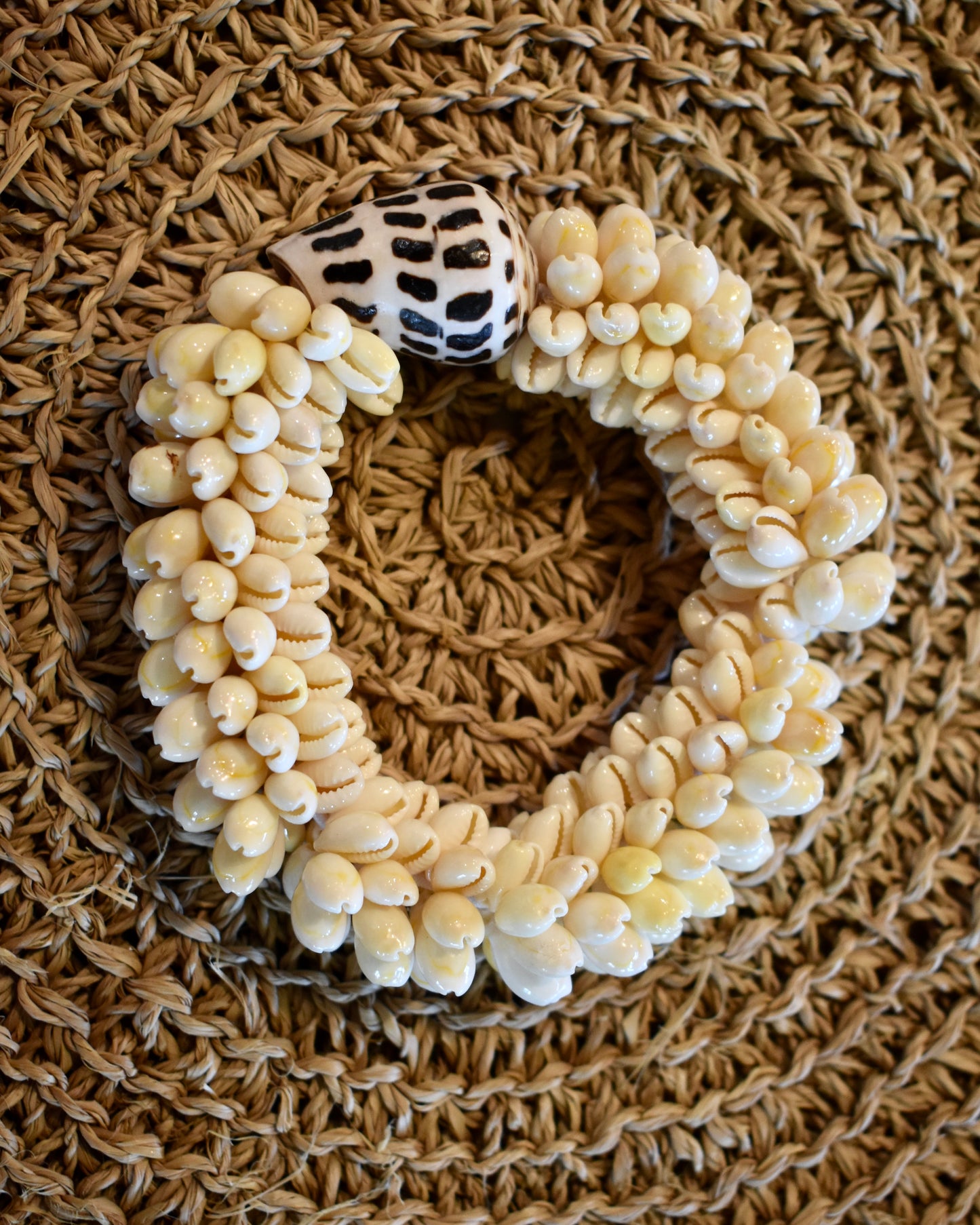 Hebrew Cone + Cowrie Shell Bracelet