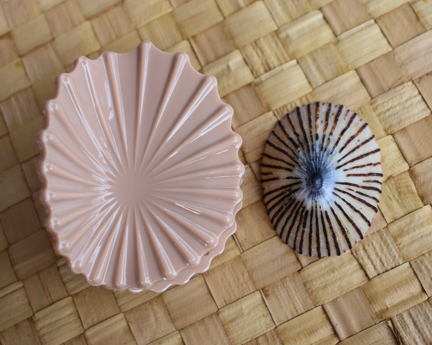 'Opihi Shell Shaped Claw Clip