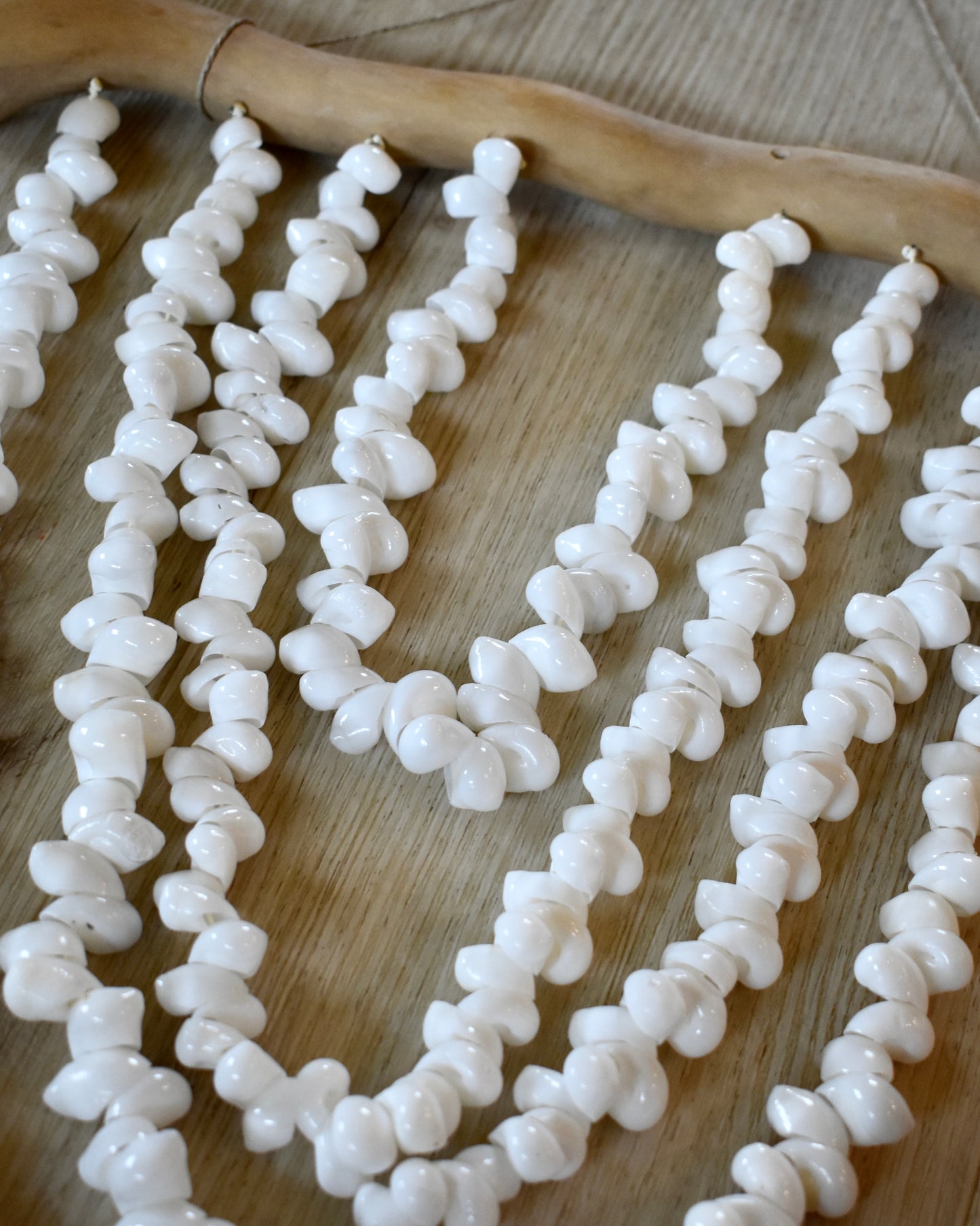 Layered Bubble Shell Driftwood Wall Decor